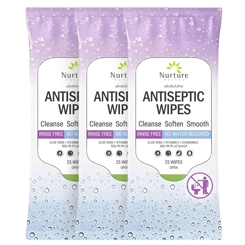 Nurture Valley Nurture XL Antibacterial Body Hand Wipes AlcoholFree Antiseptic Wet Sanitizer Towelettes for Germ Removal Disinfecting Skin Sanitizing Hands Cleaning Cloths Adults Baby Thick Strong - Image 1